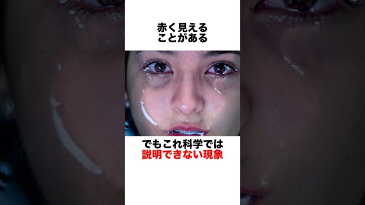 都市伝説の福袋【6選】 #都市伝説 #雑学