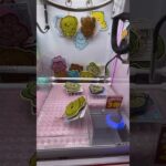 2024年 ✨ Choegosim (チェゴシム) UFO Catcher Win 🎮 | ¥200でGet!