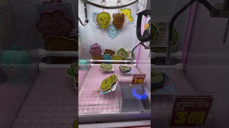 2024年 ✨ Choegosim (チェゴシム) UFO Catcher Win 🎮 | ¥200でGet!