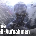 2024年 Liegt HIER ein Ufo-Wrack samt Alien?