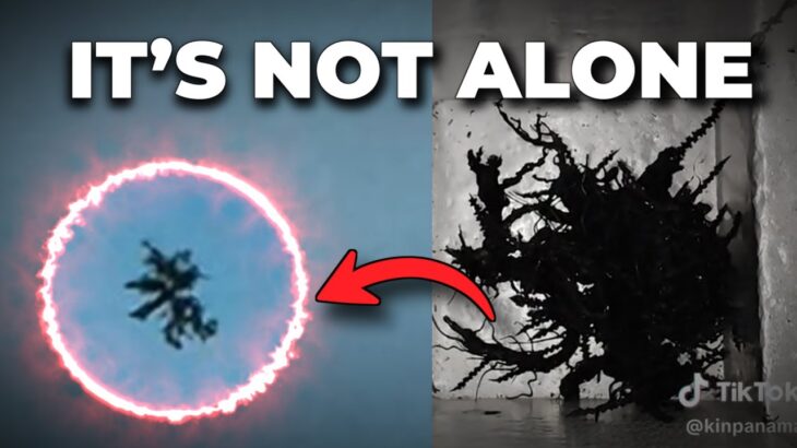2024年 Panama Alien Update❗UFO Over London Nearly Identical to Kin’s Viral Meteorite Creature