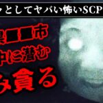 【全てがヤバい】ゾッとする怖いSCP7選【ゆっくり解説/ホラー】