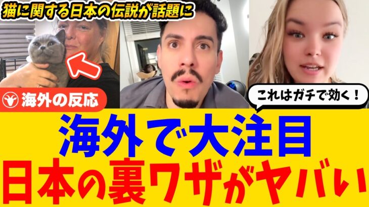 【海外の反応】日本の都市伝説的な裏ワザが海外で大注目→「まさか本当に効くとは…」海外SNSで話題の日本式迷い猫メソッドとは？