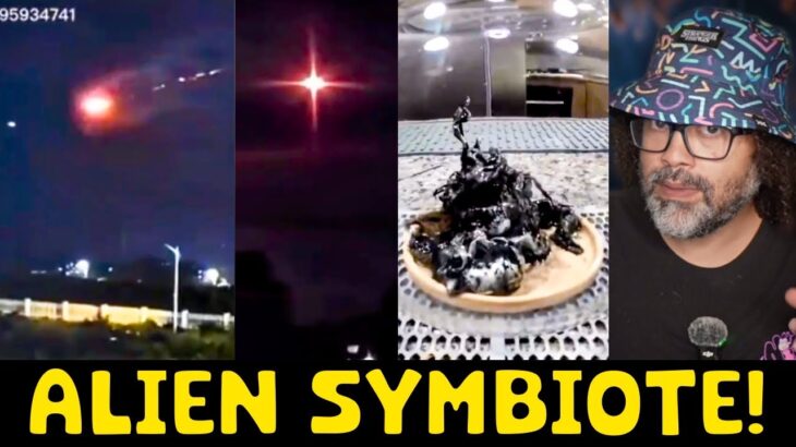 2024年 UFO EGG CRASH LANDS: ALIEN HATCHES!
