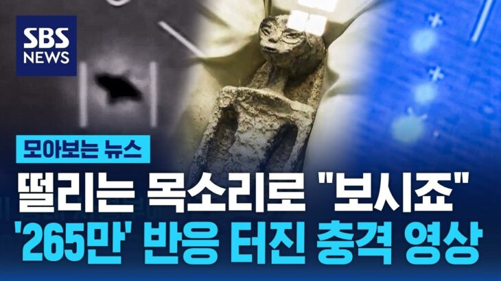 2024年 떨리는 목소리로 “보시죠”…미국이 숨겨왔던 UFO 영상? / SBS / 모아보는 뉴스