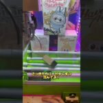 2024年 #クレーンゲーム #ゲームセンター #ufoキャッチャー #labubu #ラブブ