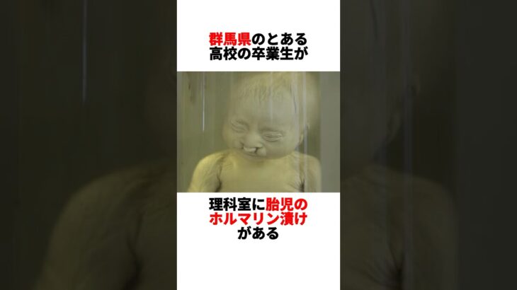【グンマー帝国】本当にあった学校の怪談 #都市伝説 #雑学