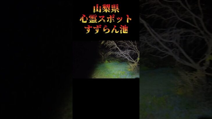山梨県心霊スポット『すずらん池』 #心霊スポット #オカルト #稲川淳二