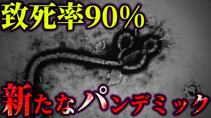 日本で初めて感染が確認された、ヤバすぎるウイルス。真のパンデミックは今年起こる？【 都市伝説 】