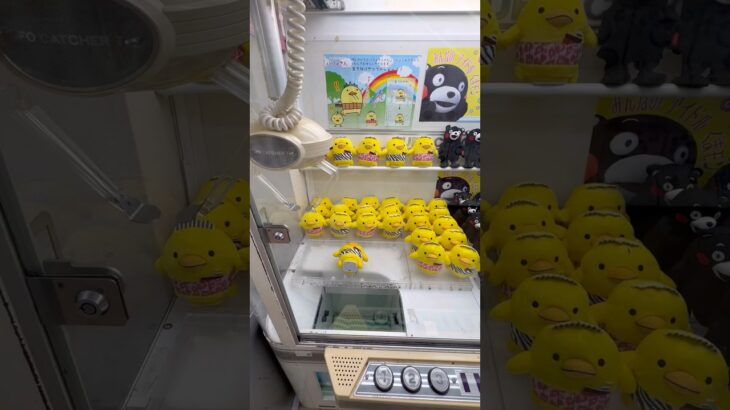 2024年 1発ゲットを狙ったらまさかの… #shorts #クレーンゲーム #ufoキャッチャー #ゲーセン #clawmachine #arcade