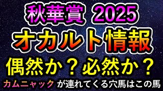 秋華賞2025 【オカルト情報】 偶然か？必然か？　カムニャックが連れてくる穴馬はこの馬