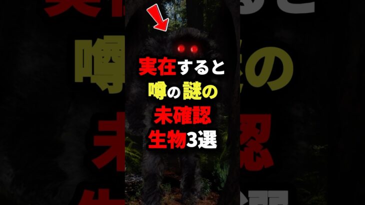 実在すると噂の謎の未確認生物3選 #都市伝説