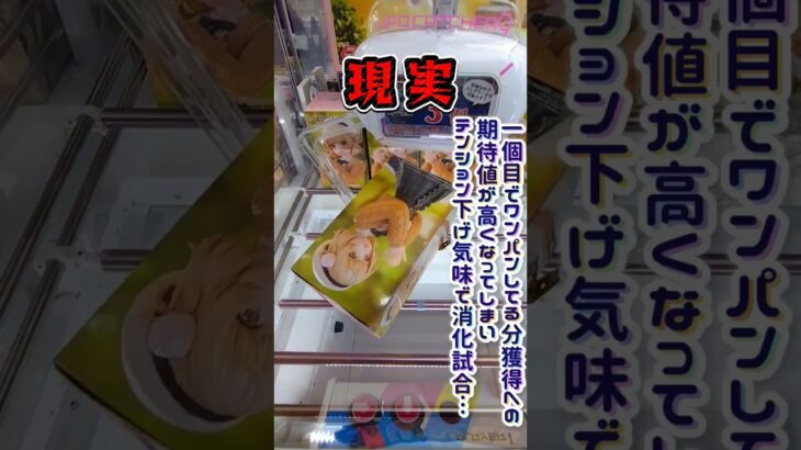 2024年 理想はいつでもBCワンパン #クレーンゲーム #ufoキャッチャー