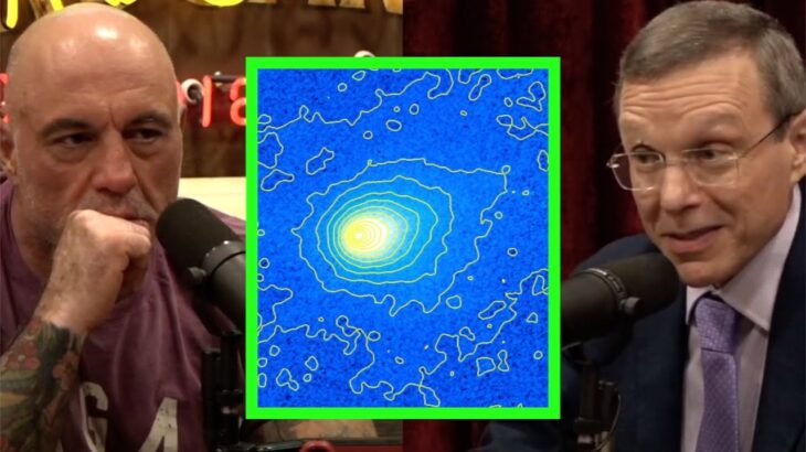 2024年 Comet or Alien Craft? Harvard Physicist Warns of a Mysterious Interstellar Object