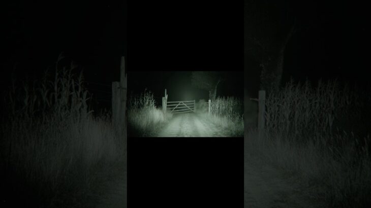 2024年 Day 36 – The Gate Incident | #TenebrisContactum #ufo #nightvision #paranormal