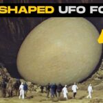 2024年 Ross Coulthart Drops UFO Surprise