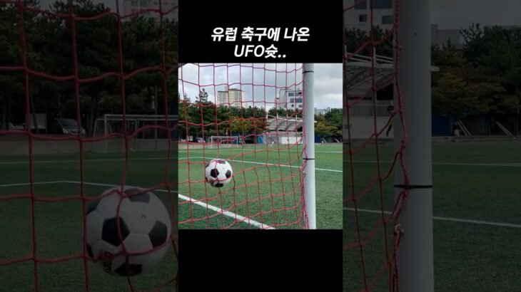 2024年 손흥민 친구의 UFO슛 ㄷㄷ
