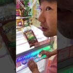 2024年 UFOキャッチャーシリーズ