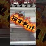 2024年 【クレーンゲーム】大ヒット中の景品は取れるの？【UFOキャッチャー】