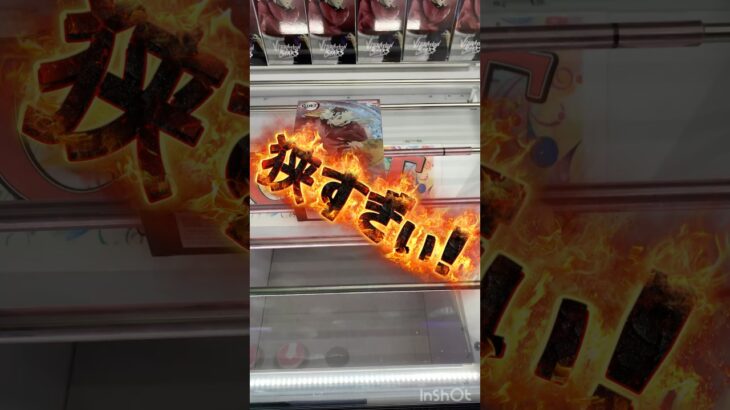 2024年 【クレーンゲーム】大ヒット中の景品は取れるの？【UFOキャッチャー】