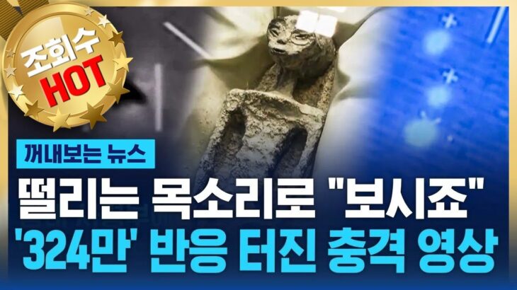 2024年 떨리는 목소리로 “보시죠”…미국이 숨겨왔던 UFO 영상? / SBS / 꺼내보는 뉴스