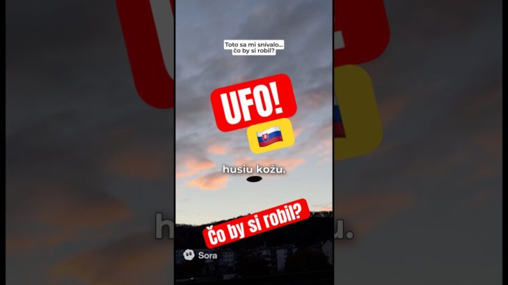 2024年 Videl som UFO na Slovensku – čo by si robil v takejto situácii? (AI paródia) #shorts #ai
