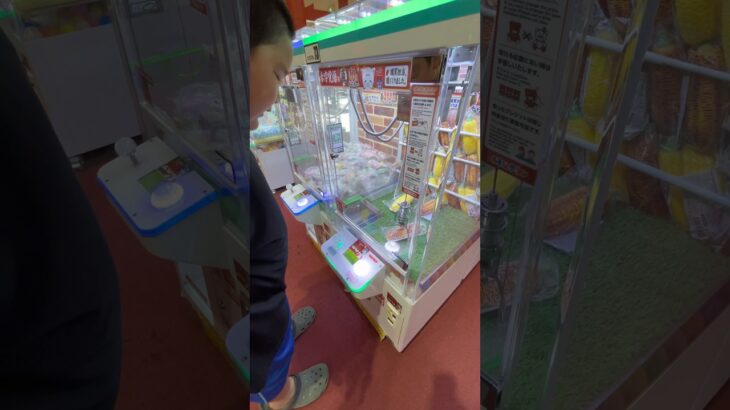 2024年 これ欲しいと思う❓(笑) #shorts #ゲーセン #ufoキャッチャー