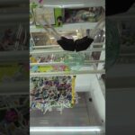 2024年 過積載#ゲーセン #ufoキャッチャー