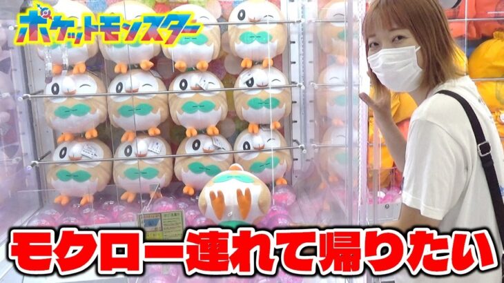 2024年 ufoキャッチャー ポケットモンスター モクロー めちゃもふぐっとぬいぐるみ 連れて帰りたい！ (pokemon stuffed toy)