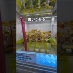2024年 #クレーンゲーム #ufoキャッチャー #shorts #short #shortvideo #shortsfeed  #ROUND1 #ﾍﾞﾈｸｽ #クレゲ #フィギュア #ぬいぐるみ #ゲーム