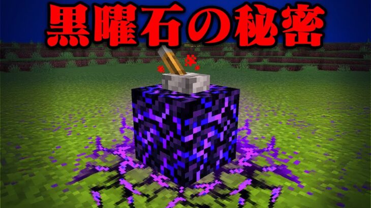 忘れられた謎のマイクラ都市伝説を検証してみた【まいくら・マインクラフト】