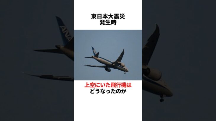 【地震】地上だけでなく、上空も混乱 #都市伝説 #雑学