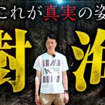 異常すぎる森【富士の樹海】都市伝説を現地で検証してみた結果…
