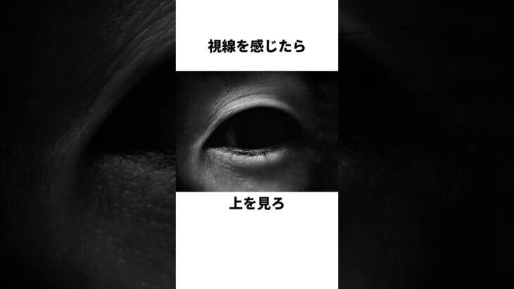 お化けの退治法~ゴーストバスターズ顔負け~#ハロウィン #都市伝説