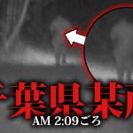 ここに来ては行けなかった…皆が口を揃えるヤバい場所でそれは起きた。【心霊】【マネージャー辻の心霊成長録】