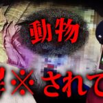 ダメだこの廃墟…訳のわからない声が聞こえすぎる…【心霊】【廃ホテル】【異常者】
