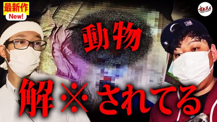 ダメだこの廃墟…訳のわからない声が聞こえすぎる…【心霊】【廃ホテル】【異常者】