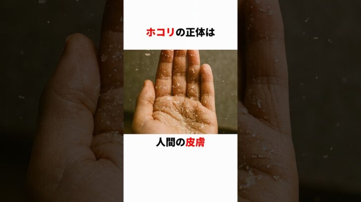 ポロリと落とした皮膚は埃になる #都市伝説 #雑学