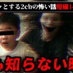 【不気味な映像】2chのゾッとする怖い話、短編14選【ゆっくり解説/作業用BGM】