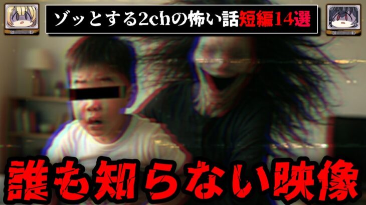【不気味な映像】2chのゾッとする怖い話、短編14選【ゆっくり解説/作業用BGM】