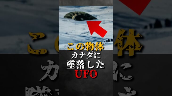 2024年 この物体、カナダに墜落したUFOです