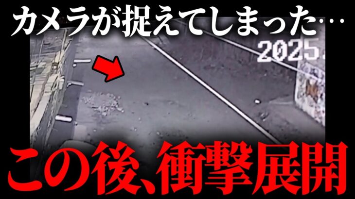 この世のものとは思えないヤバすぎる映像が発見されました。【 都市伝説 UMA 未確認生物 】