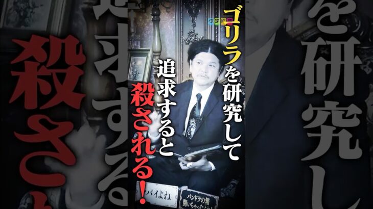 絶対に調べてはいけない #タテドラ#都市伝説#関暁夫#UMA#未確認生物#ダンダダン