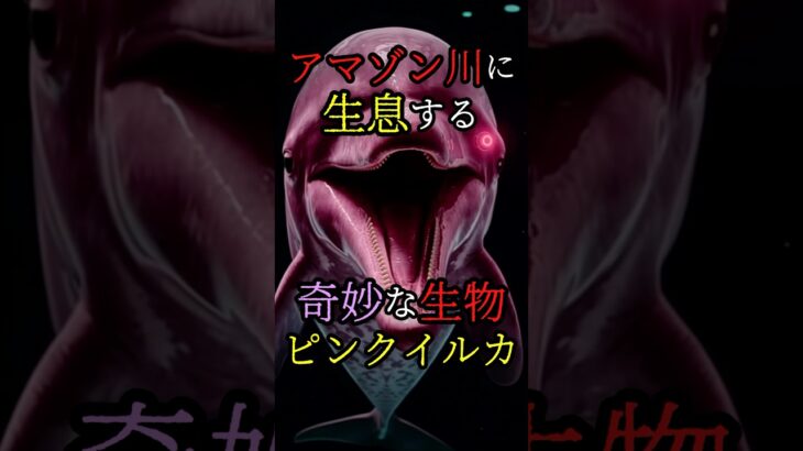 アマゾン川に生息する奇妙な生物、ピンクイルカ #都市伝説 #雑学 #怖い話 #shorts