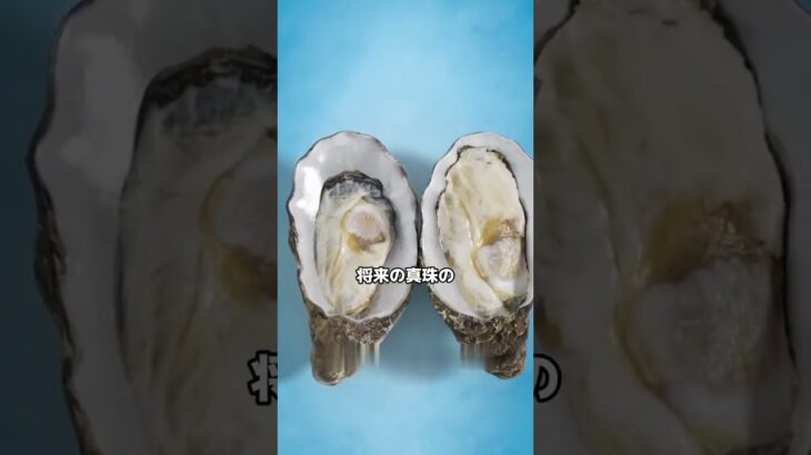 #真珠 #雑学 #都市伝説