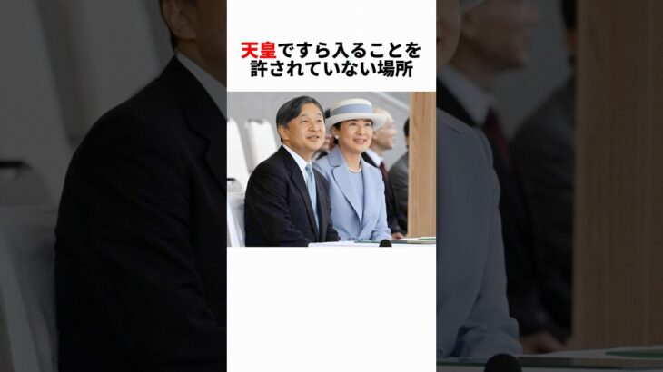 天皇ですら入れない場所【伊勢神宮の正殿】#都市伝説 #雑学