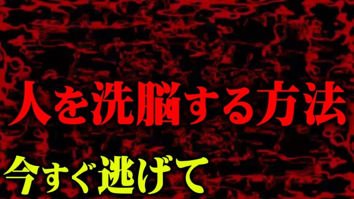 【悪用厳禁】簡単に人を洗脳する方法【 都市伝説 】