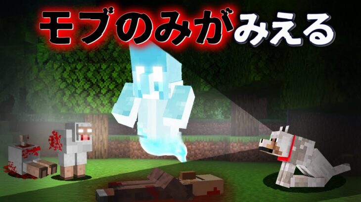 “モブだけが知る”『マイクラ都市伝説』を検証した結果・・【まいくら,マインクラフト,解説,都市伝説,】