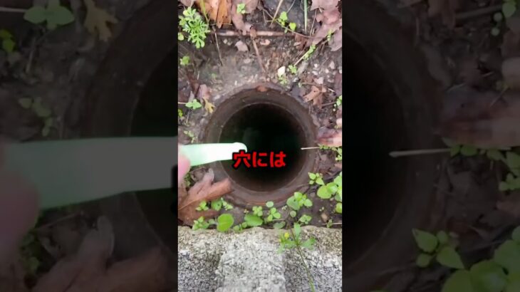 穴。#都市伝説 #オカルト #ミステリー