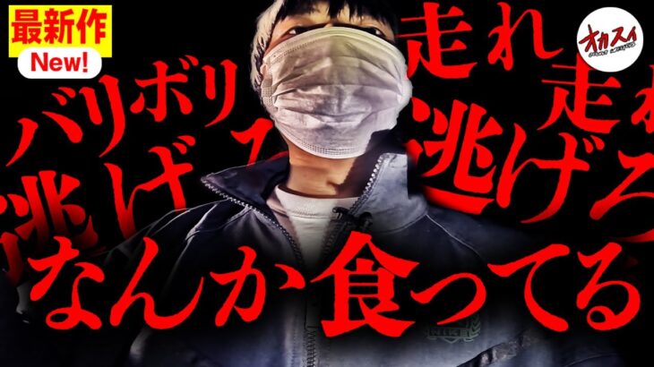 ハッキリとした○○の声…一同がパニックに陥った一部始終。【心霊】【マネージャー辻の心霊成長録】